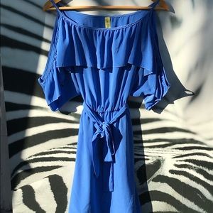 Bee Stitched Silk Dress